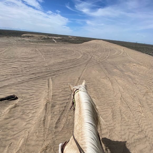 Meet your Posher, Kailey - Picture 1 of 1